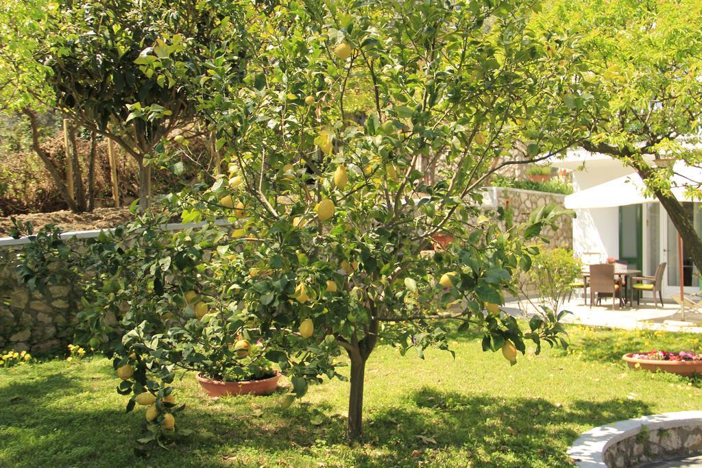 Casa Augusto B&B 카프리 외부 사진