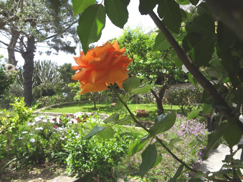 Casa Augusto B&B 카프리 외부 사진